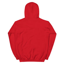 Load image into Gallery viewer, Genius Hoodie